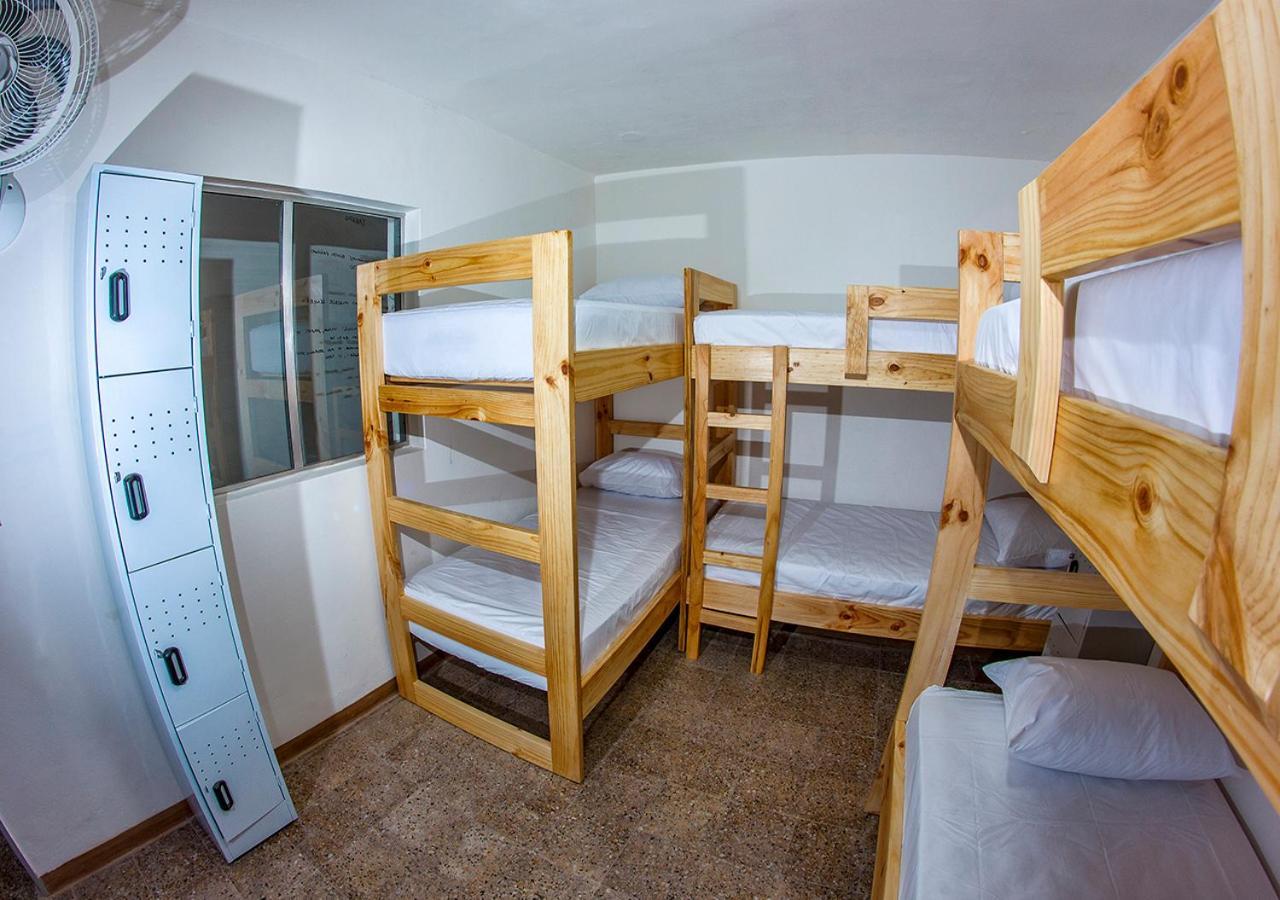Cama en habitación compartida de 6 camas