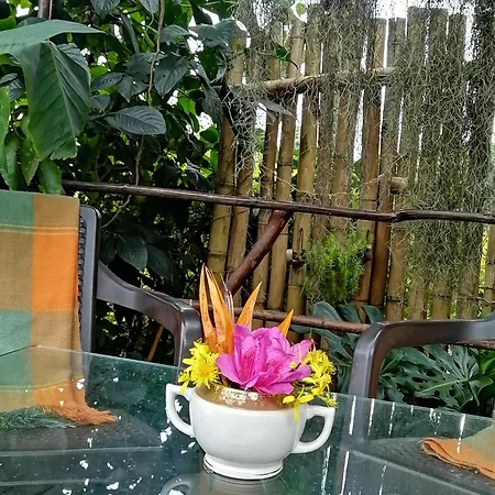 Eco Hostal Casa La Juana-3