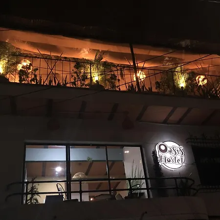 Oasis Hostel Medellin-3